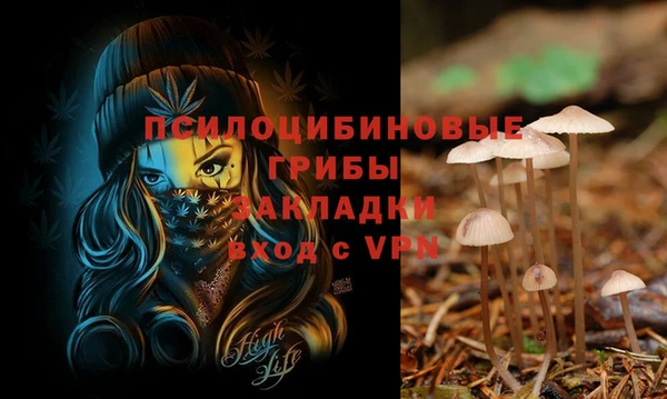 гидра Балабаново